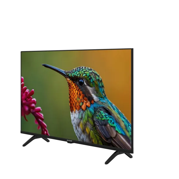 ARÇELİK A43 D 697 B Full HD& HD EA2T00